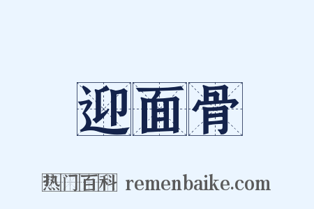 迎面骨是什么意思的图片